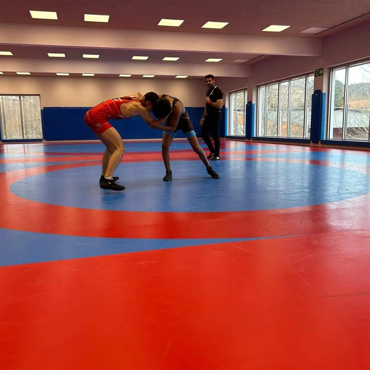 Resultados Campeonato Navarro Júnior de Luchas Olímpicas